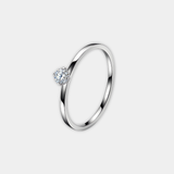 Lene – Elegance Collection